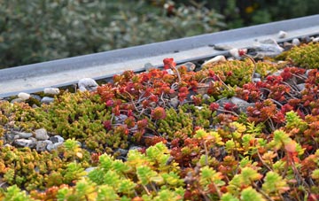 the cost of Oldbury On Severn green roof installation